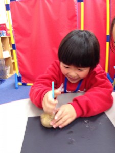 インターナショナルスクール　アメリカンキッズ横浜