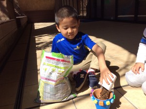 インターナショナルスクール　アメリカンキッズ横浜