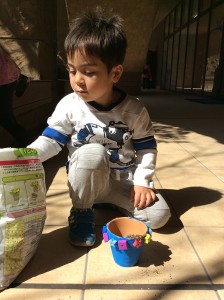 インターナショナルスクール　アメリカンキッズ横浜